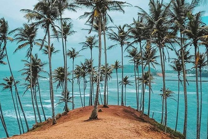 Srilanka 7 Days Classical Tour- Private Car (Can Customized) - Exclusions