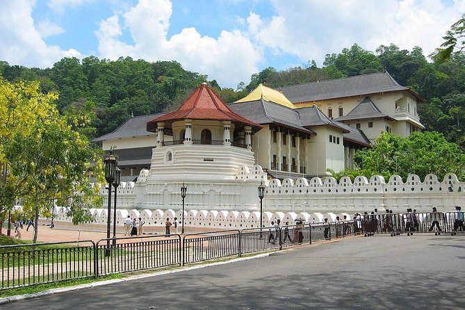 Srilanka 7 Days Classical Tour- Private Car (Can Customized) - Price and Group Size