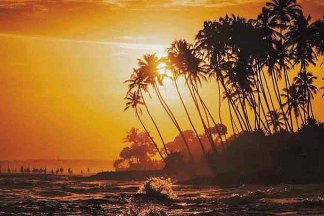 Srilanka 7 Days Classical Tour- Private Car (Can Customized) - Additional Information
