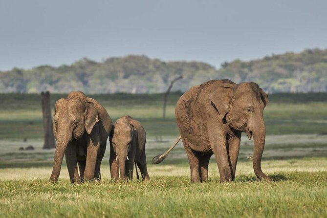 SriLanka Country Side Tour - Inclusions and Logistics