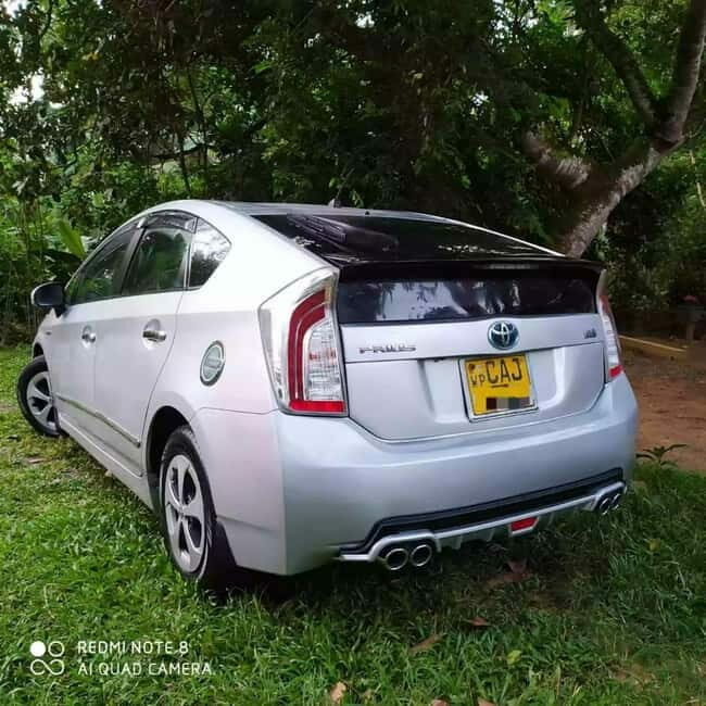Srilanka one day & multi day Tours - Car Rental Service - An Introduction to the Service