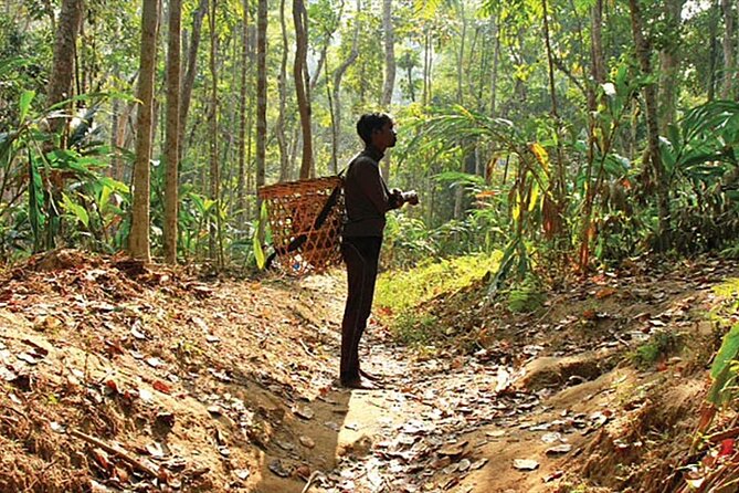 Srimangal Overnight Private Tour From Dhaka - Wildlife and Nature Exploration