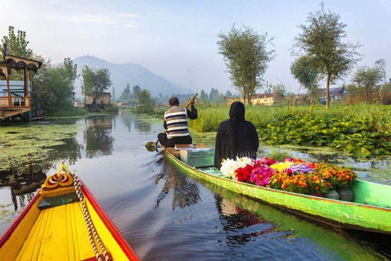 Srinagar Airport Transfer - Key Points