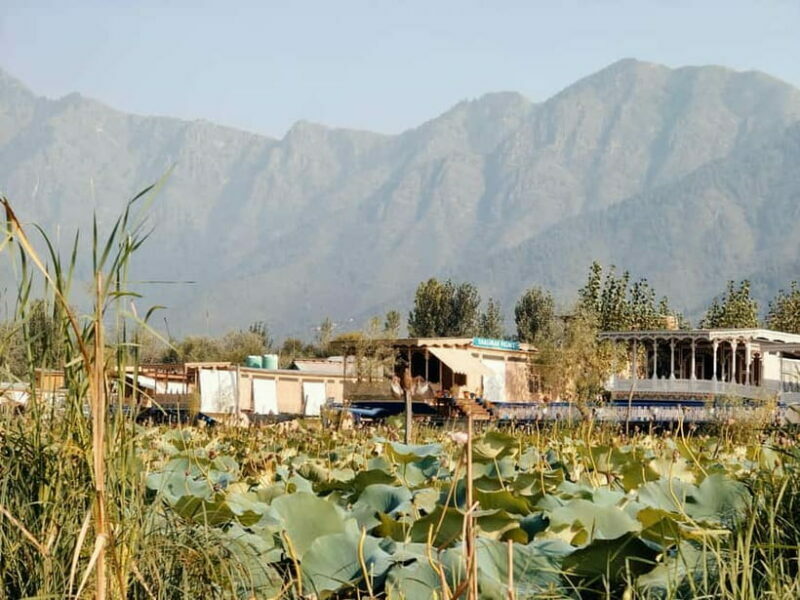 Srinagar: Private Old City and Mughal Gardens Guided Tour - Local Craft and Souvenir Shopping