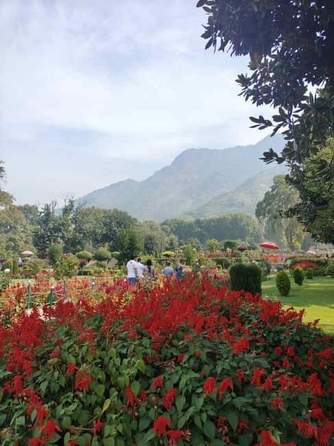 Srinagar: Private Old City and Mughal Gardens Guided Tour - Practical Details and Value