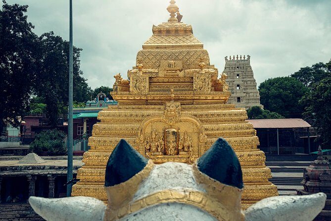 Srisailam Temple full day excursion tour - Key Points