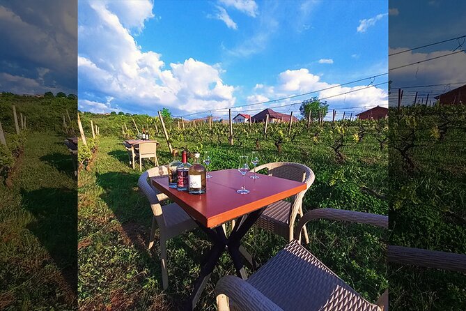 S&S Winery - Wine Tasting Experience in Ohrid - Lunch and Food Pairing