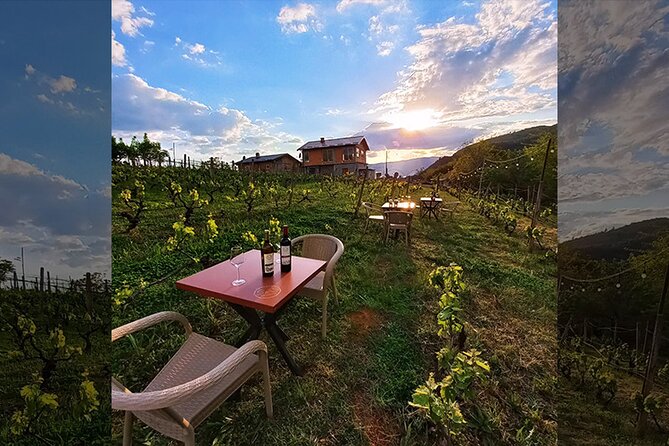 S&S Winery - Wine Tasting Experience in Ohrid - Meeting and End Points