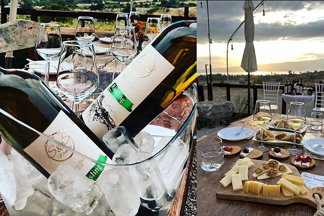 S&S Winery - Wine Tasting Experience in Ohrid - Health and Participation Requirements
