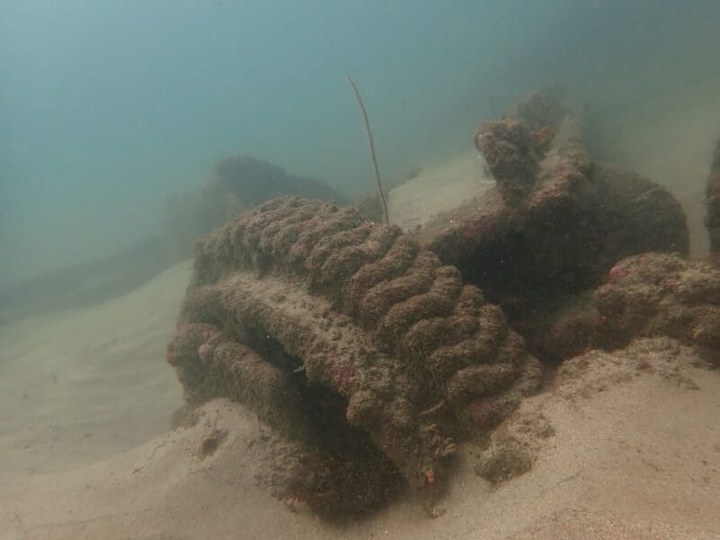 SSI Fun Dive at Grande Island - Cancellation Policy