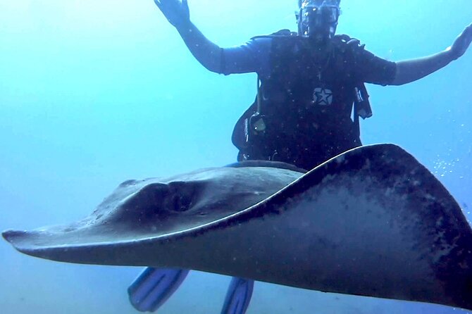 SSI Open Water Diver Course in Tenerife - Scuba Certification Highlights