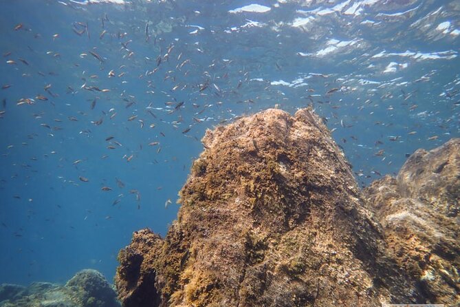 SSI Open Water, South Tenerife - Instructor Professionalism