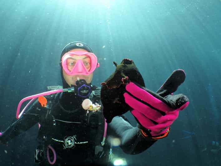 SSI Try Scuba Diving in the Sea - Pricing and Booking