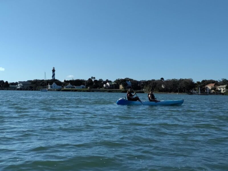St. Augustine: Deluxe Dolphin-Watching Kayak Tour - Key Points
