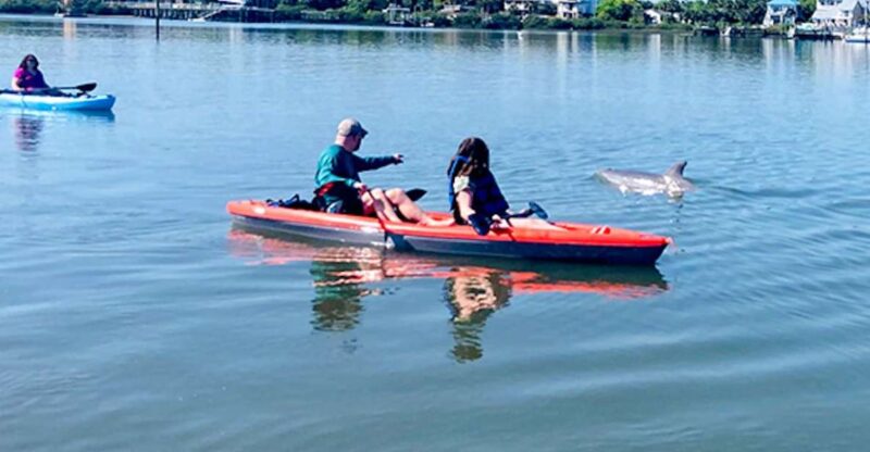 St. Augustine: Dolphin and Manatee Paddle or Kayak Tour - Equipment and Guide
