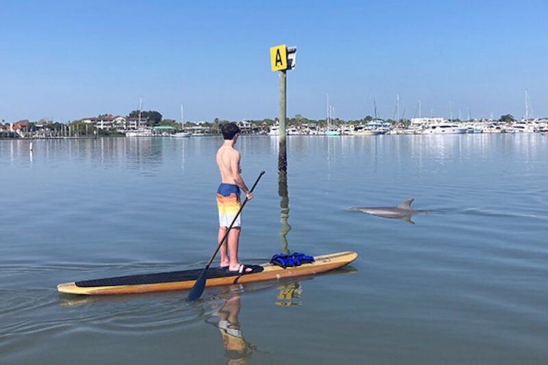 St. Augustine: Dolphin and Manatee Paddle or Kayak Tour - Important Information