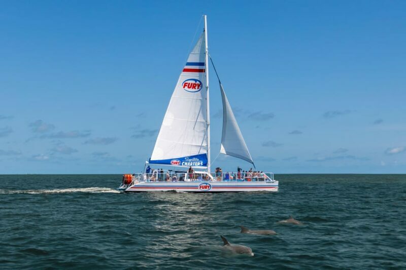 St. Augustine: Dolphin Watching Harbor Tour with Drinks - The Value Proposition