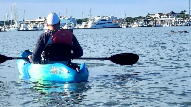 St. Augustine Downtown Bayfront: Kayak History Tour - Participant Requirements