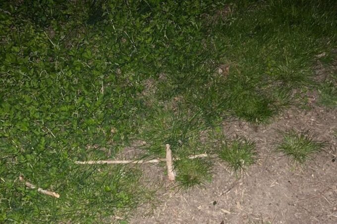 St. Augustine: Evening Paranormal Investigation Tour - Suitability and Meeting Point