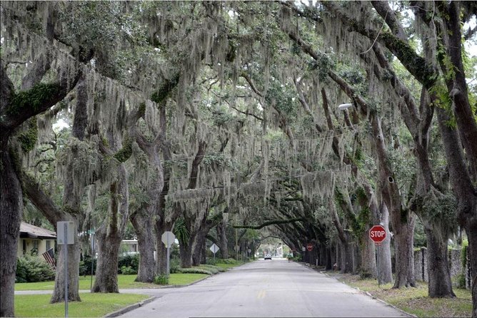 St. Augustine Hop-On Hop-Off Trolley Tour - History and Architecture of St. Augustine