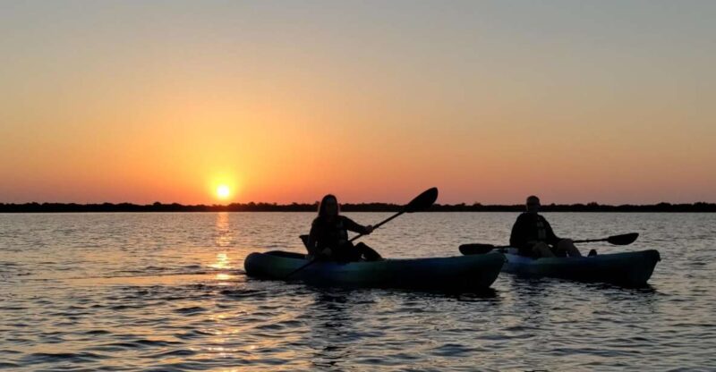 St. Augustine: Kayaking Sunrise Tour - Key Points