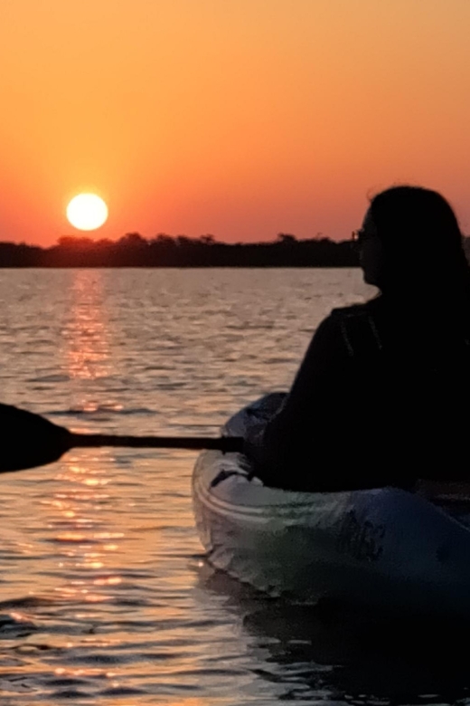 St. Augustine: Kayaking Sunrise Tour - Inclusions