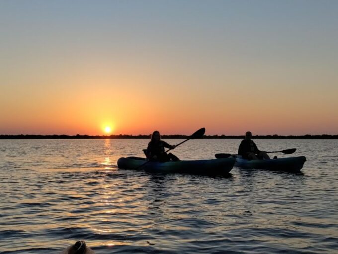 St. Augustine: Kayaking Sunrise Tour - Kayaking and Marine Life