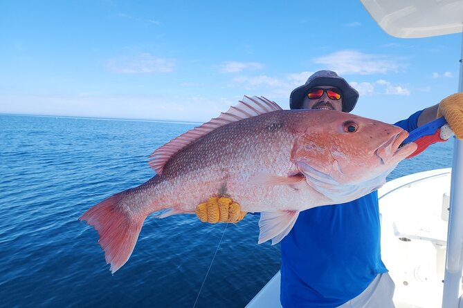 St. Augustine Private Boat Tour Daytime, up to 6 People - Tour Operator and Company