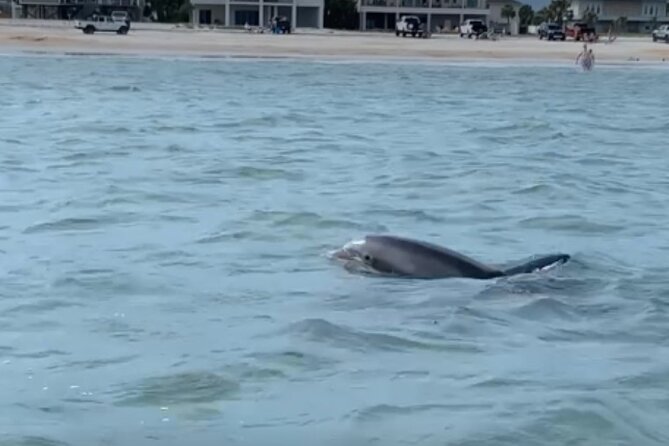 St. Augustine Private Day or Sunset Boat Tour, 6 Passengers Max - Additional Information