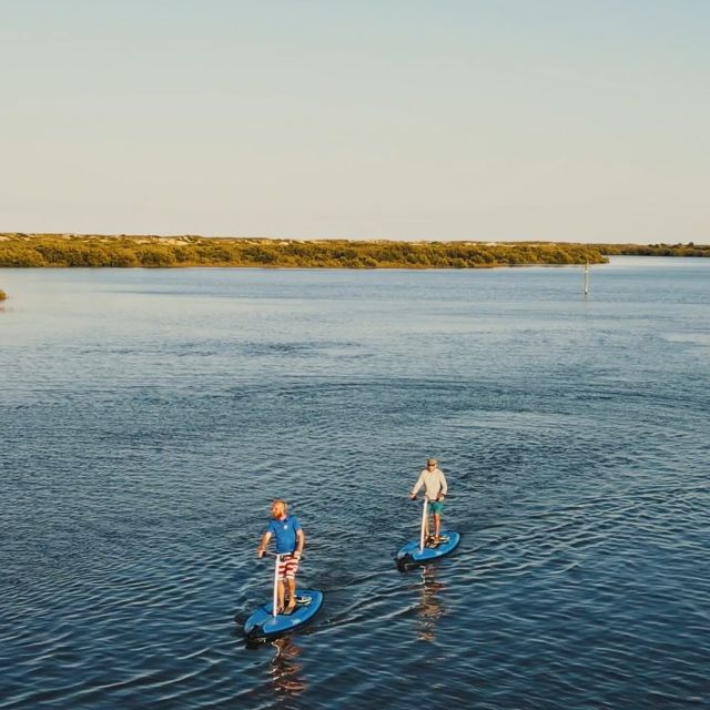 St. Augustine: Standup Pedal-boarding Dolphin Tour - Booking and Cancellation
