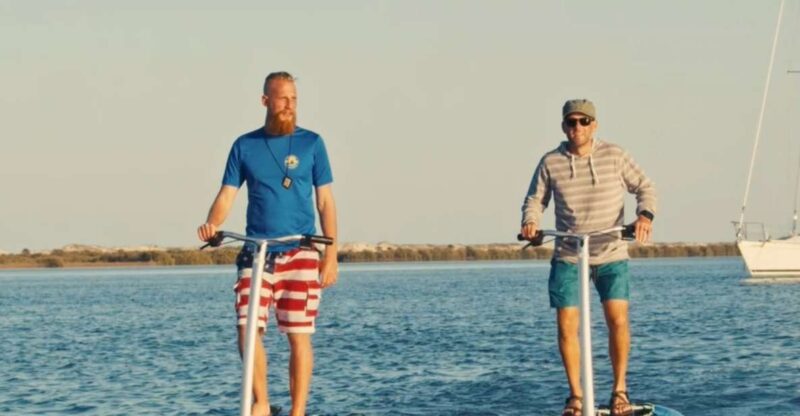 St. Augustine: Standup Pedal-boarding Dolphin Tour - Tour Highlights
