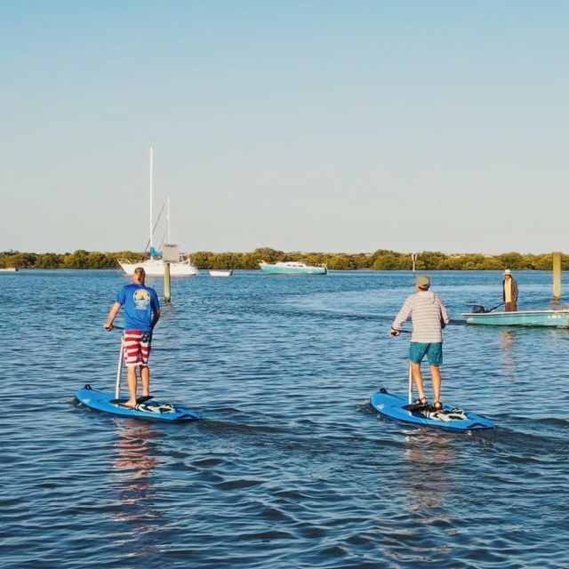 St. Augustine: Standup Pedal-boarding Dolphin Tour - Customer Feedback