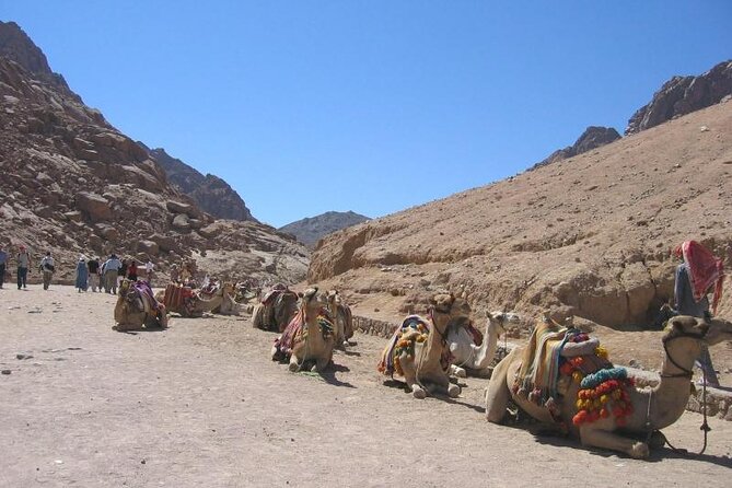 St Catherine Monastery Small Group Tour From Dahab - Inclusions and Services