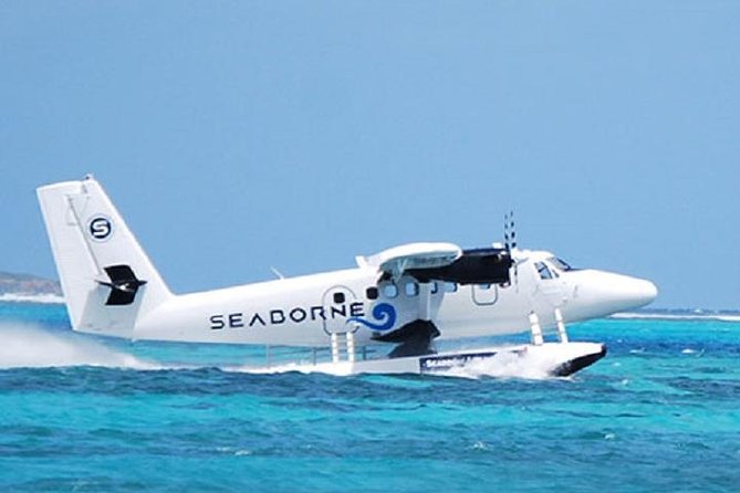 St Croix Private Airport Pick Up - Infant and Child Policies