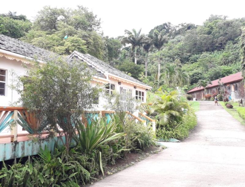 St. George Grenada: Western Route Private Day Excursion - Itinerary Highlights