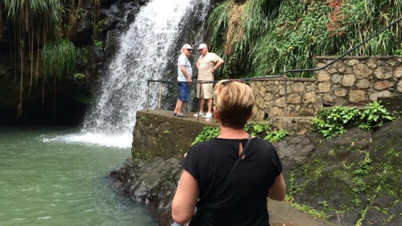 St. Georges: Annandale Waterfall Fort Fredrick & Beach Time - Key Points