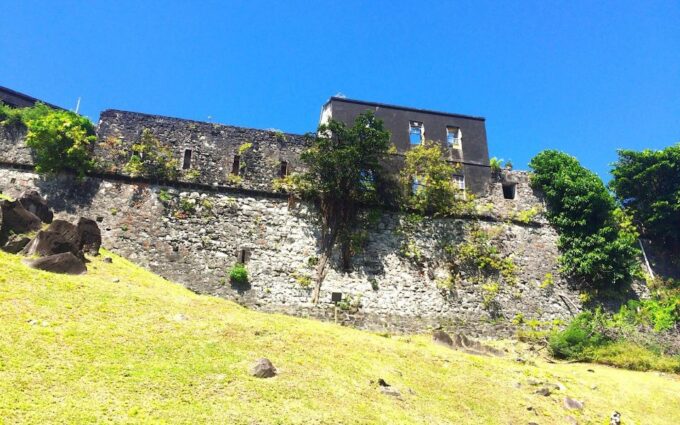 St. Georges: Annandale Waterfall Fort Fredrick & Beach Time - Customer Feedback
