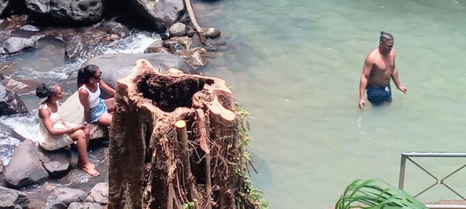 St. Georges: Annandale Waterfall Fort Fredrick & Beach Time - Key Details