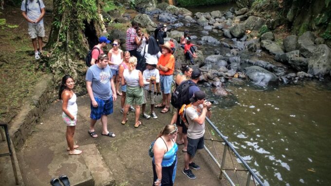 St. Georges: Annandale Waterfall Fort Fredrick & Beach Time - Frequently Asked Questions