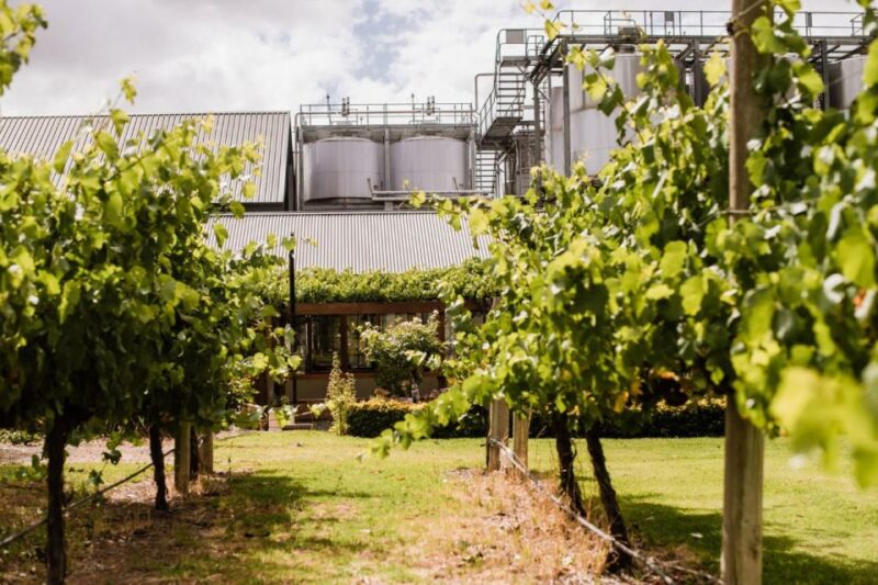 St Hallett: Cuvee Chocolate and Wine Indulgence Package - Included Features
