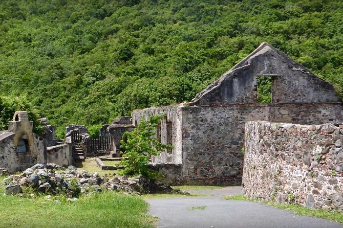 St John Island and Trunk Bay Beach Tour - Guest Experiences and Feedback