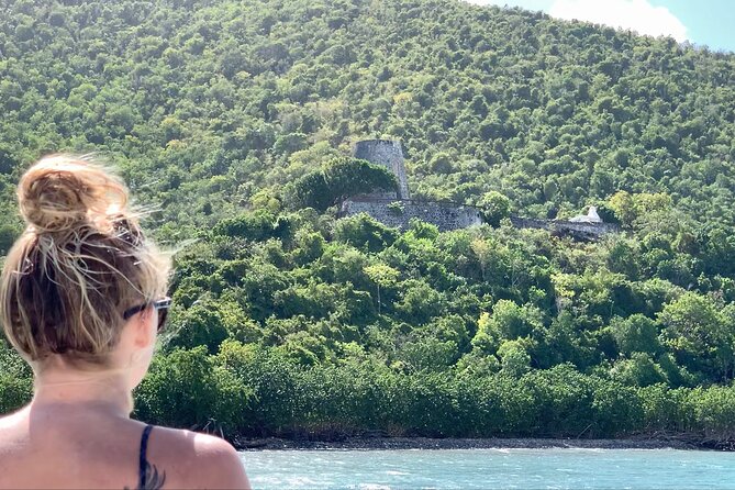 St. John Luxury Catamaran Turtle Snorkel and Cays Full Day - Guest Feedback and Highlights