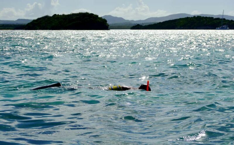 St. John's, Antigua Kayak, Snorkeling, & Beach Bird Island - A Closer Look at the Tour Experience