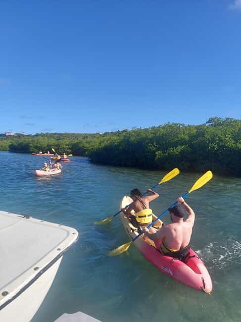 St. John's, Antigua Kayak, Snorkeling, & Beach Bird Island - The Itinerary Breakdown