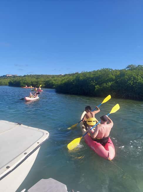 St. John's, Antigua Kayak, Snorkeling, & Beach Bird Island - The Practical Details