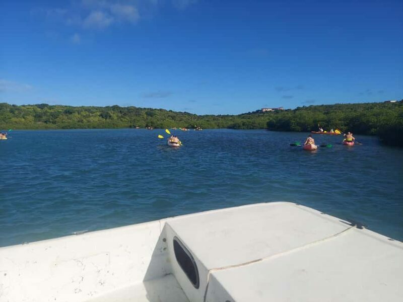 St. John's, Antigua Kayak, Snorkeling, & Beach Bird Island - Authentic Moments and Guest Feedback