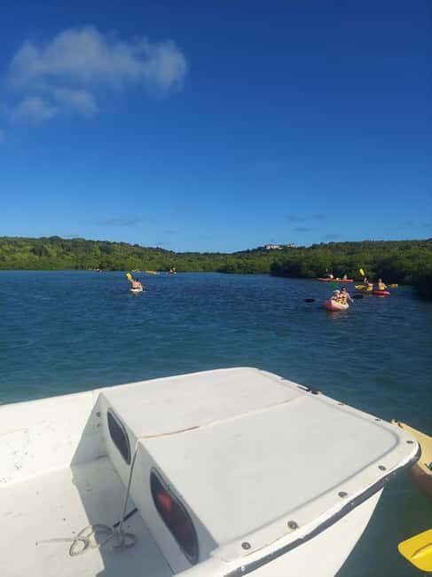 St. John's, Antigua Kayak, Snorkeling, & Beach Bird Island - Final Thoughts: Who Will Love This Tour?