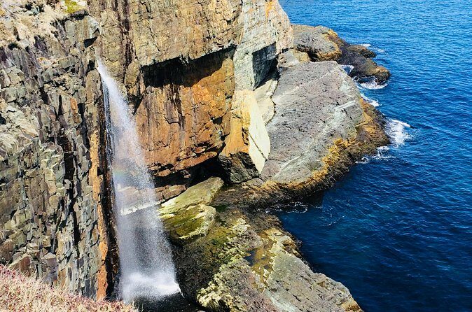 St. John's Coastal Hike with Top Local Guide Deneen - Why This Tour Is Worth It