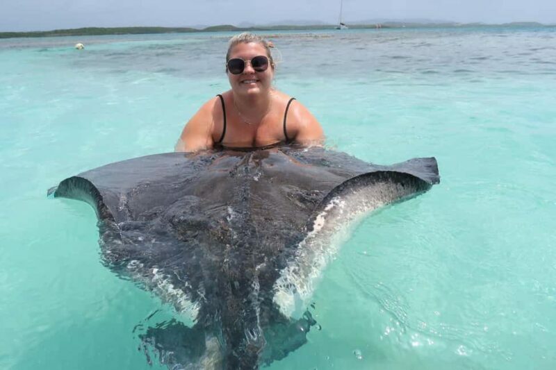 St. John's; Combo Laviscount Island & Swimming with Stingray - Experience Antigua’s Best with the Combo Laviscount Island & Stingray Tour