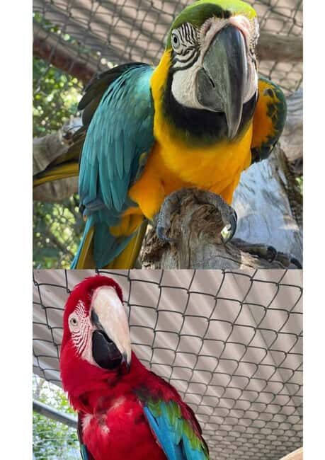 St. John's; Combo Laviscount Island & Swimming with Stingray - Final Verdict